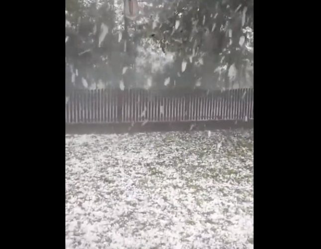 Фото: Скриншот Твитер