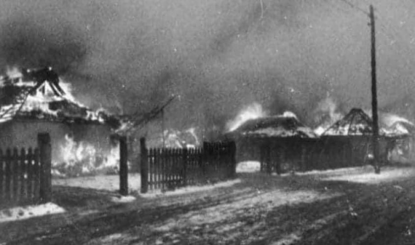 Фото: Скриншот Твитер